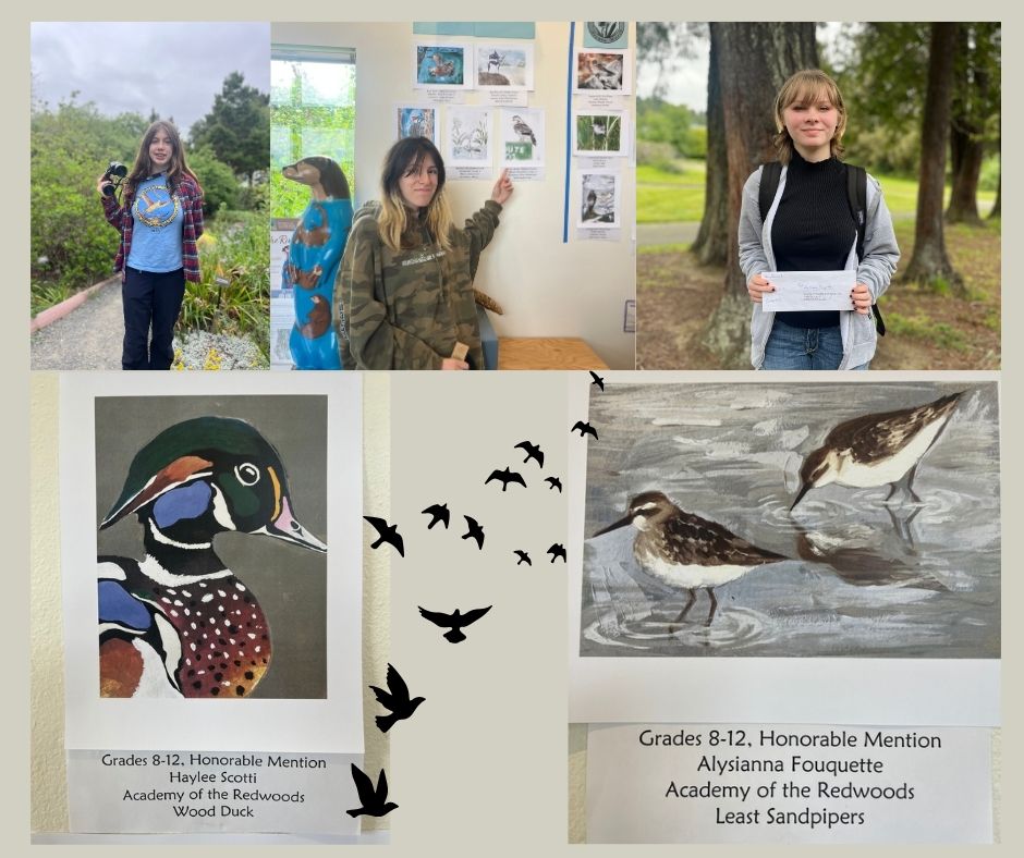 Godwit Days Art and Writing Contests