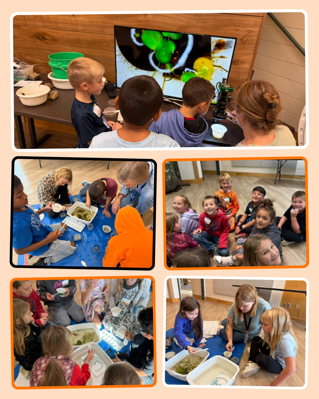Exploring the Wetlands at Wehr Nature Center