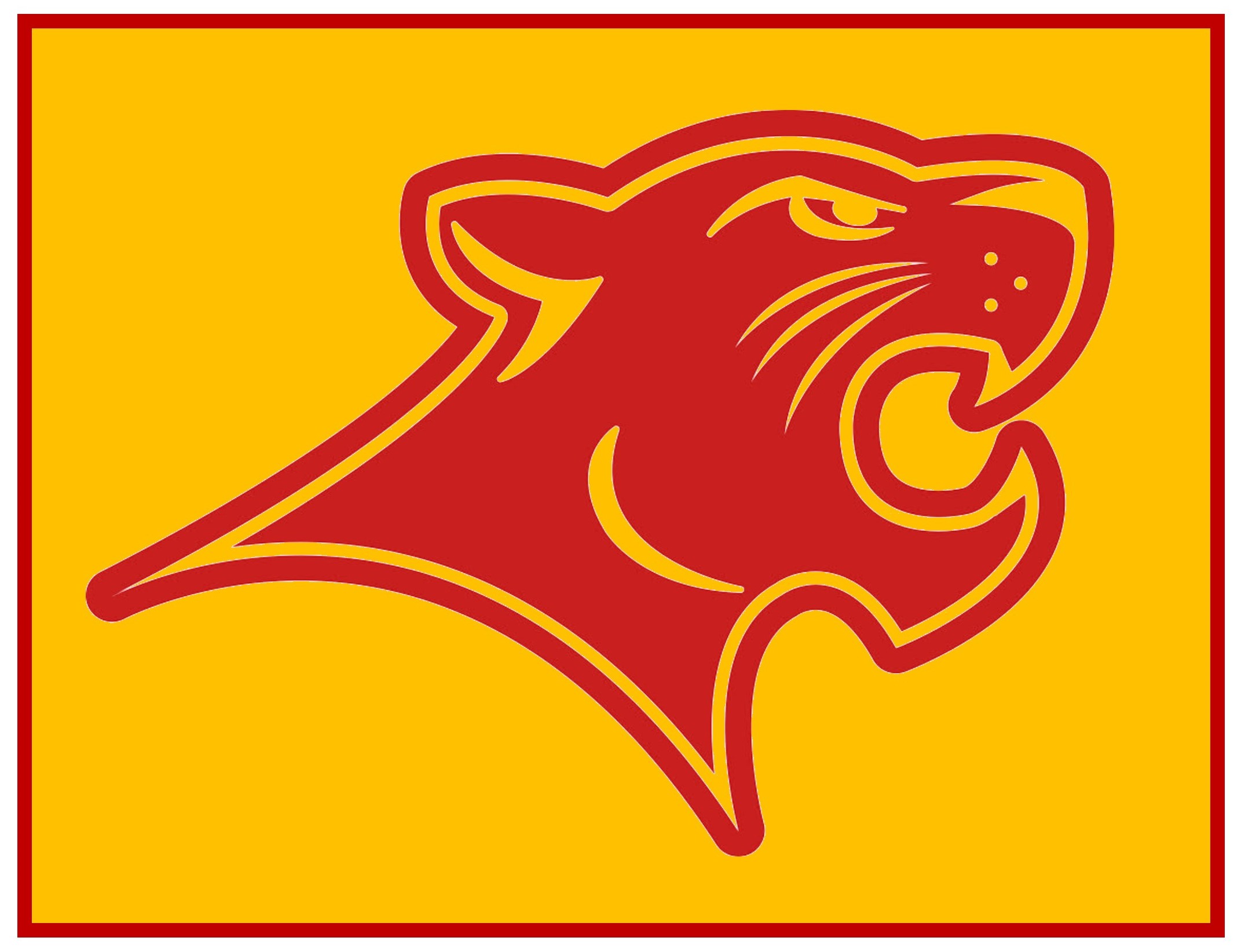 Summer Mailers ~ Cougar Days Information