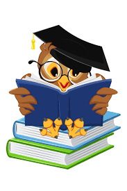 A cartoon owl wearing a graduation cap and glasses reads a book while sitting on a stack of books.