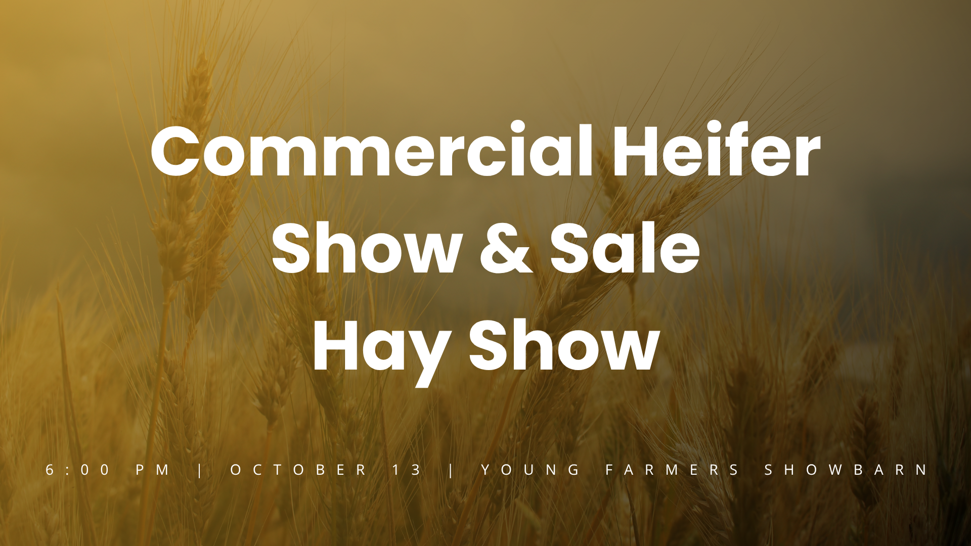 Commercial Heifer Show & Sale, Hay Show