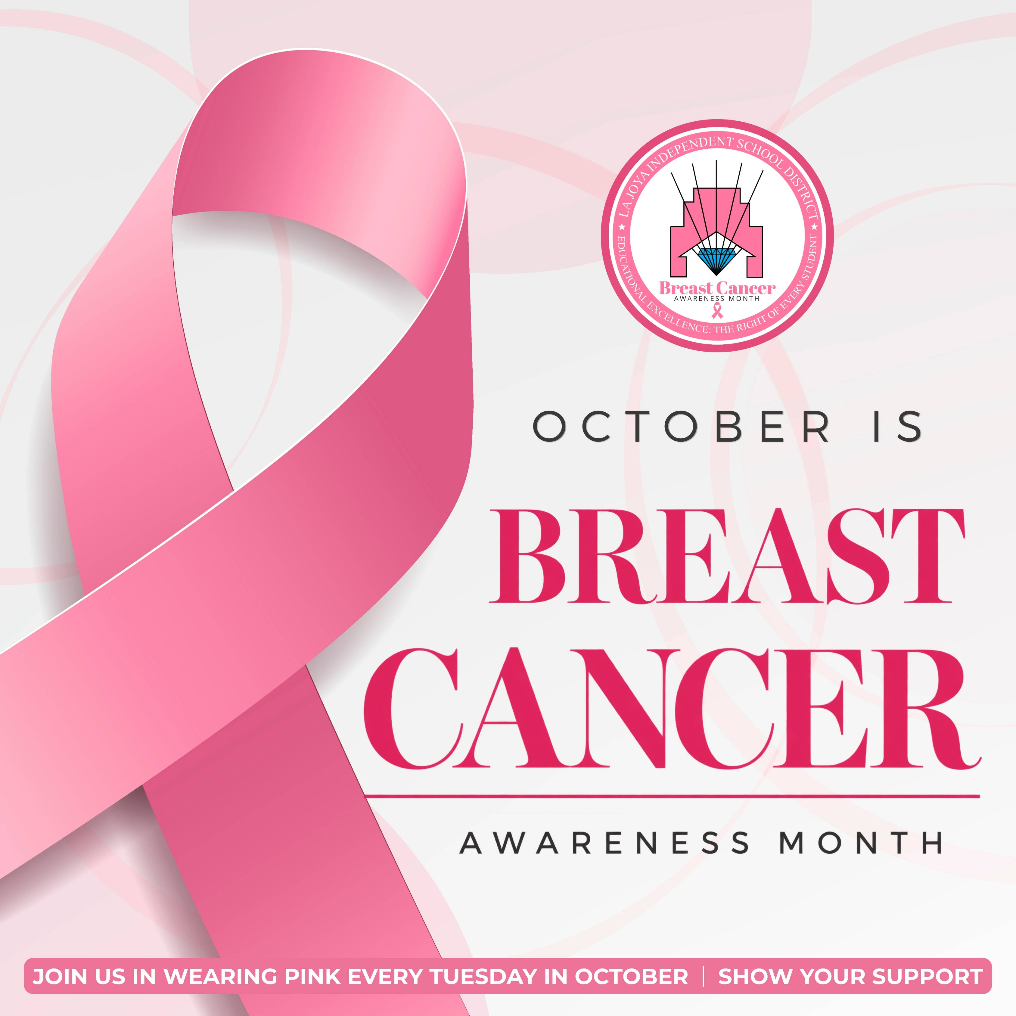 🎀💗 October is Breast Cancer Awareness Month!