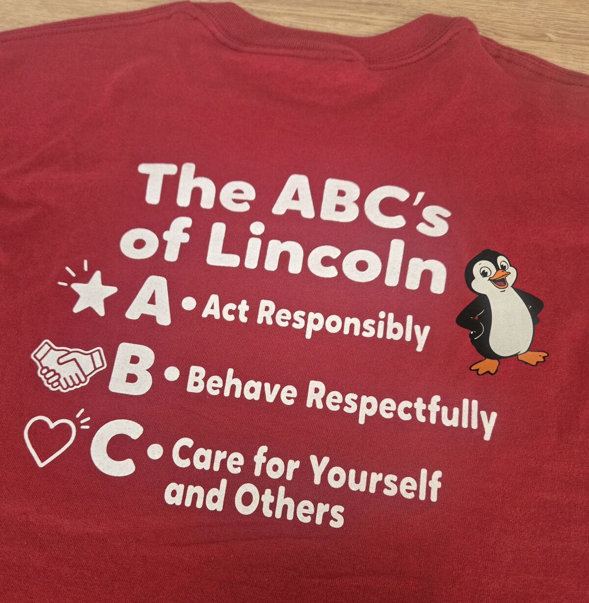 The new school spirit tshirt