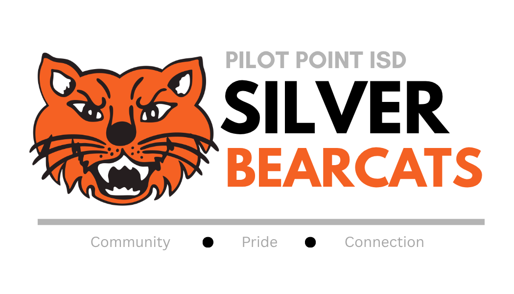 Introducing Silver Bearcats 