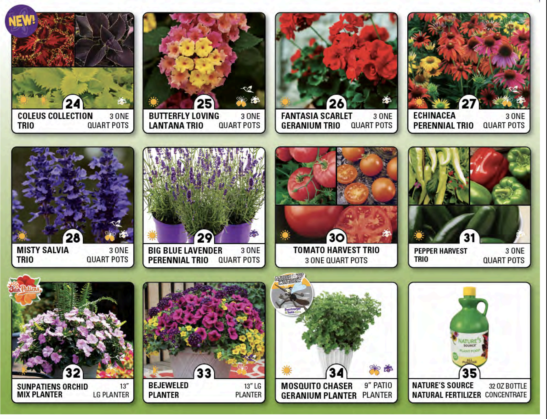 plant and accessories