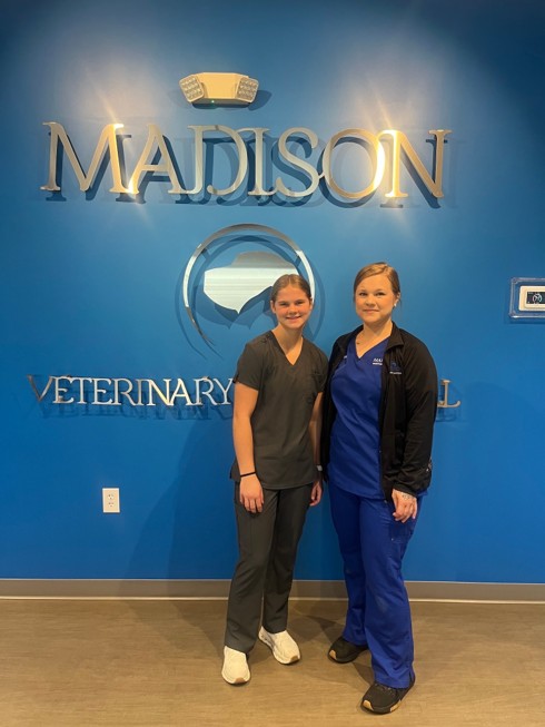 Internship Spotlight 9/29/26