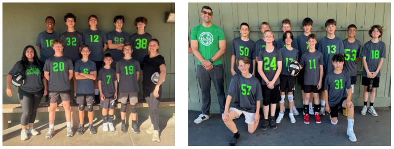 A group of young volleyball players in matching grey jerseys with green numbers pose for a team photo.