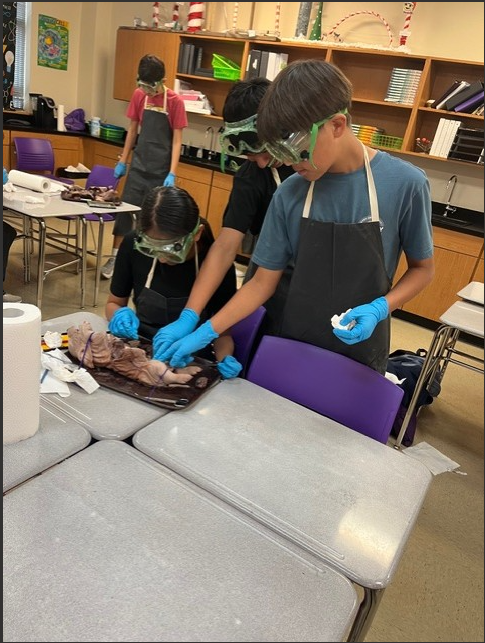 Students in a science class wear safety goggles and aprons while performing a dissection.