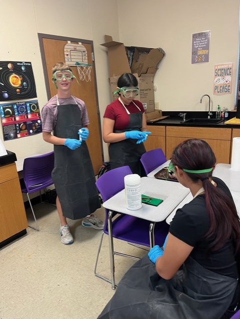Students in a science lab wear safety goggles and aprons, ready for an experiment.