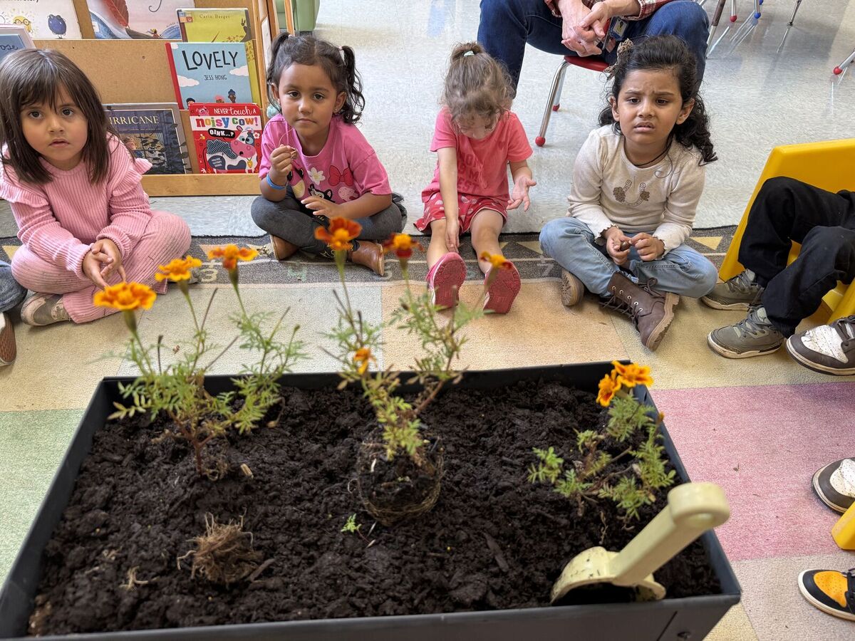 Outdoor Classroom