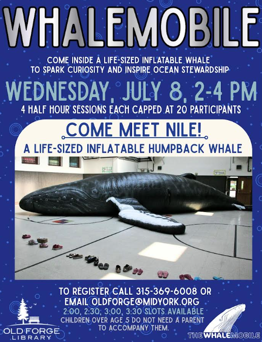 A large inflatable humpback whale named Nile is displayed indoors, with shoes lined up on the floor.