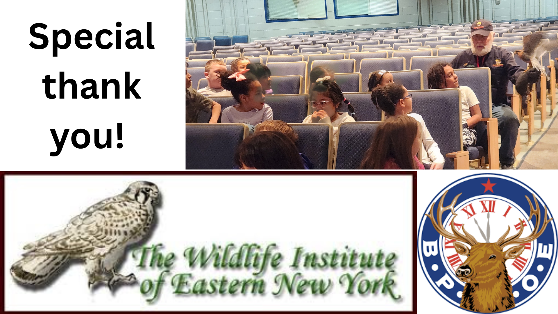 Van Rensselaer's 2nd Grade Birds of Prey Experience