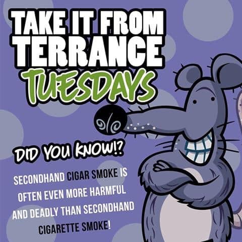 Take it from Terrance Tuesdays