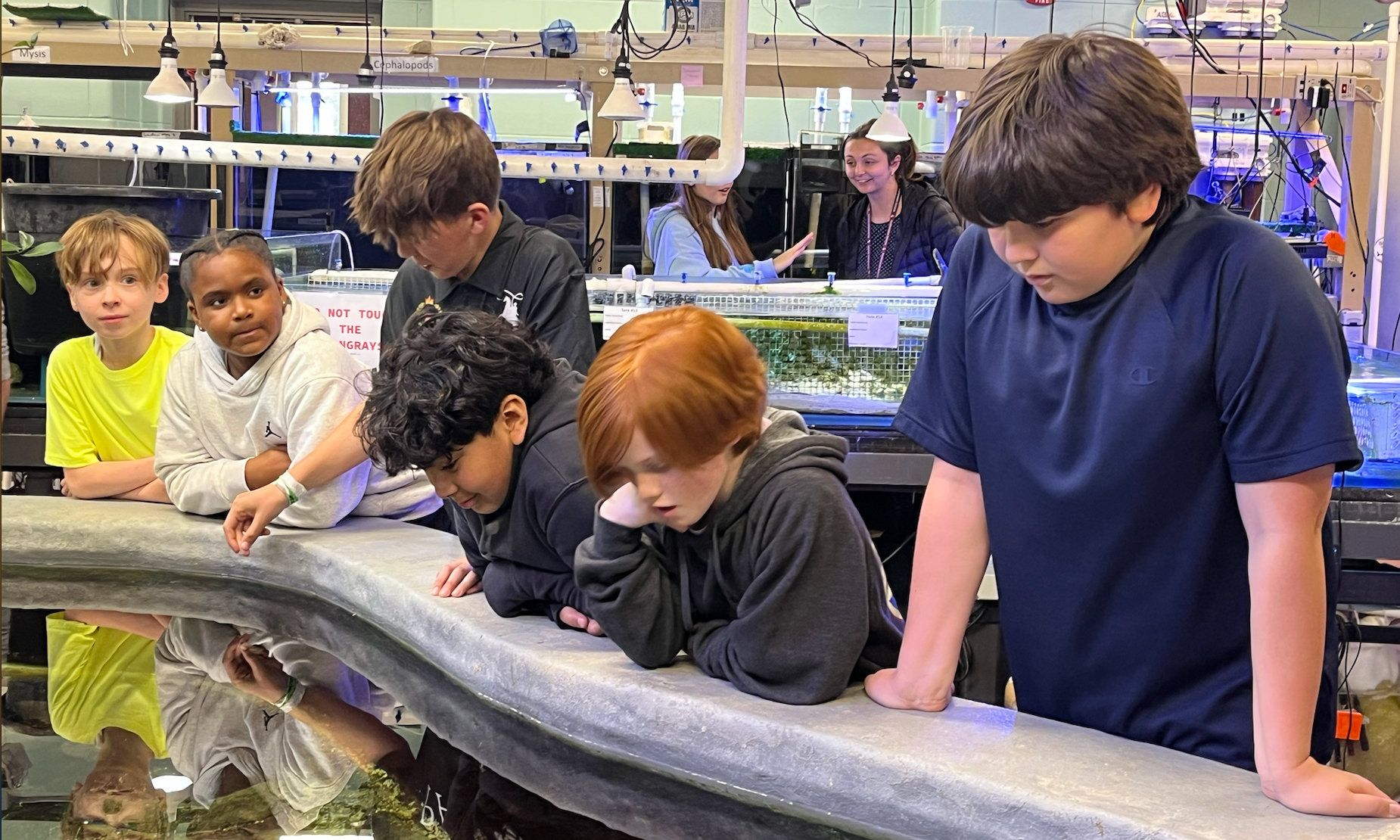 Superintendent's Weekly Brief 5/1/2026