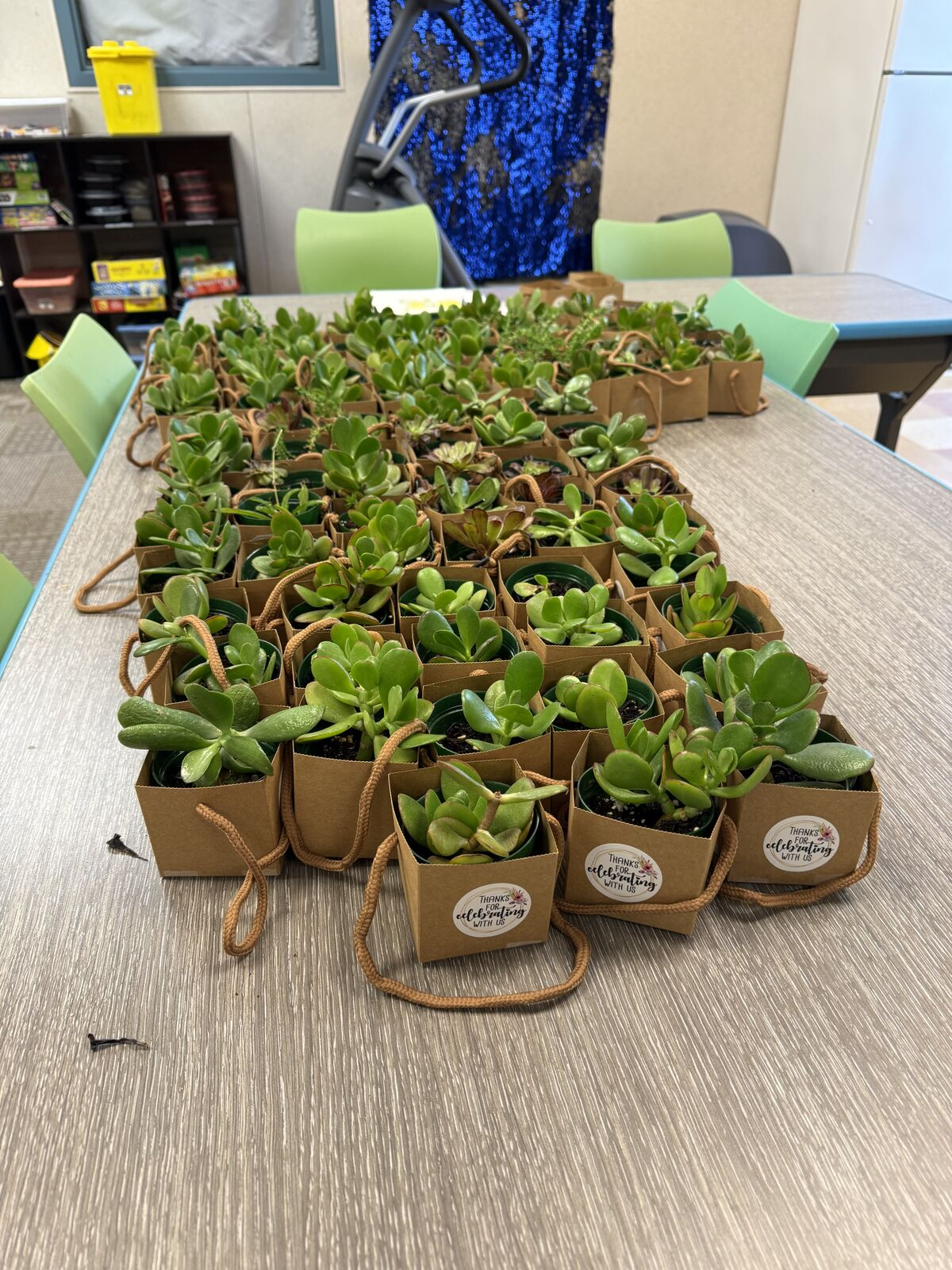 A row of small potted succulents in brown paper bags with rope handles are displayed on a wooden table.