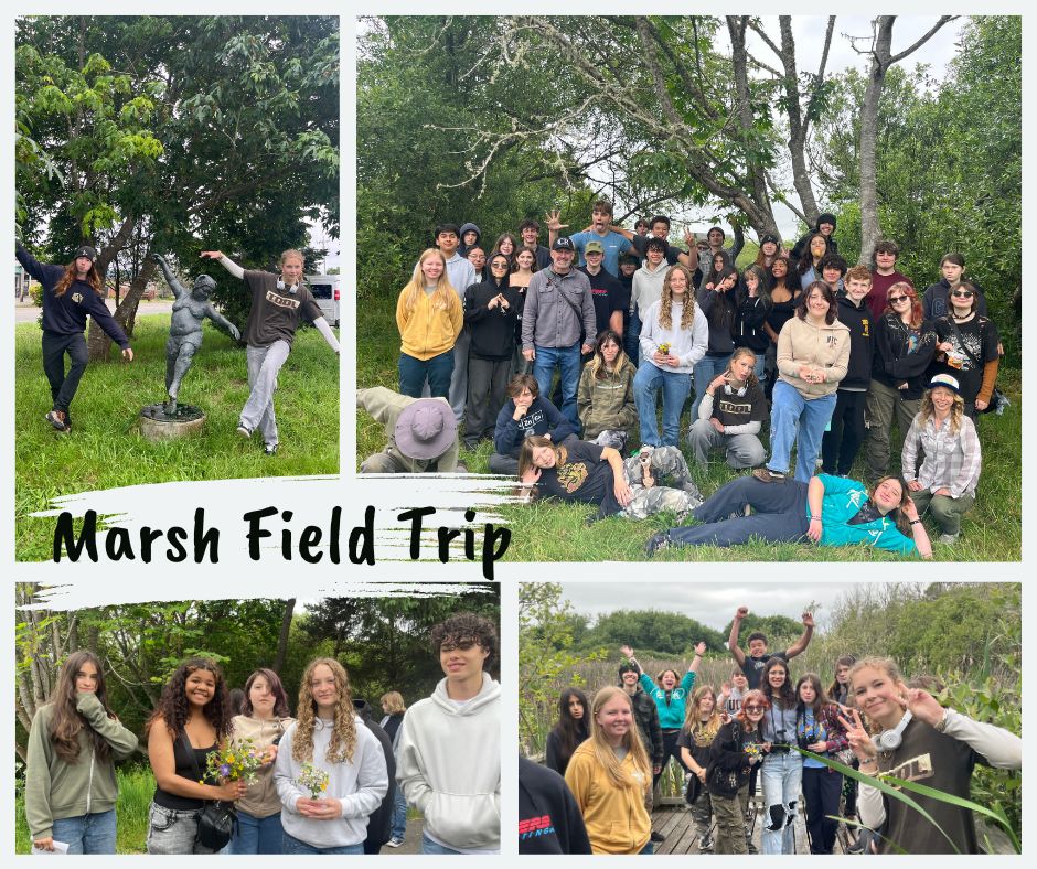 Marsh Field Trip