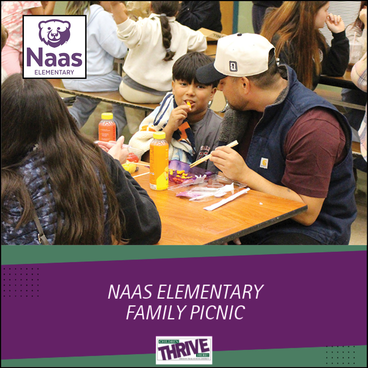 Naas Elementary Family Picnic!