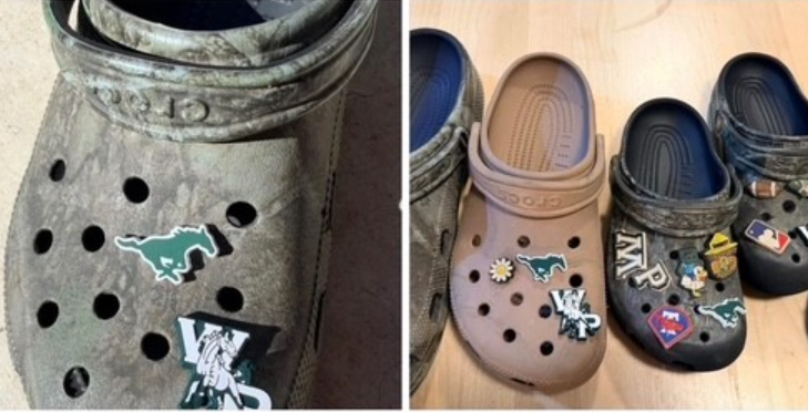 WP croc charms
