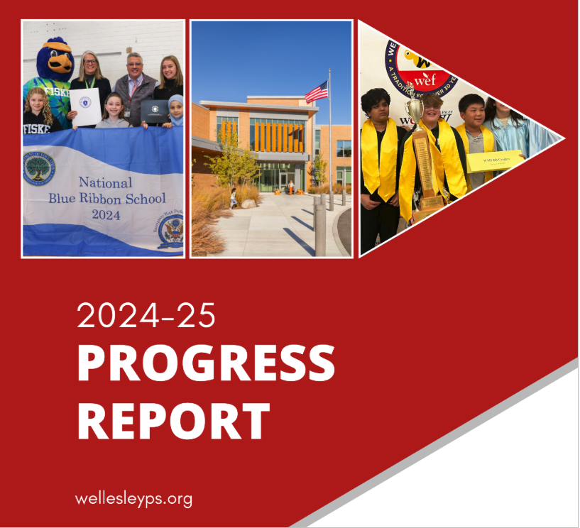 2024-25 District Progress Report