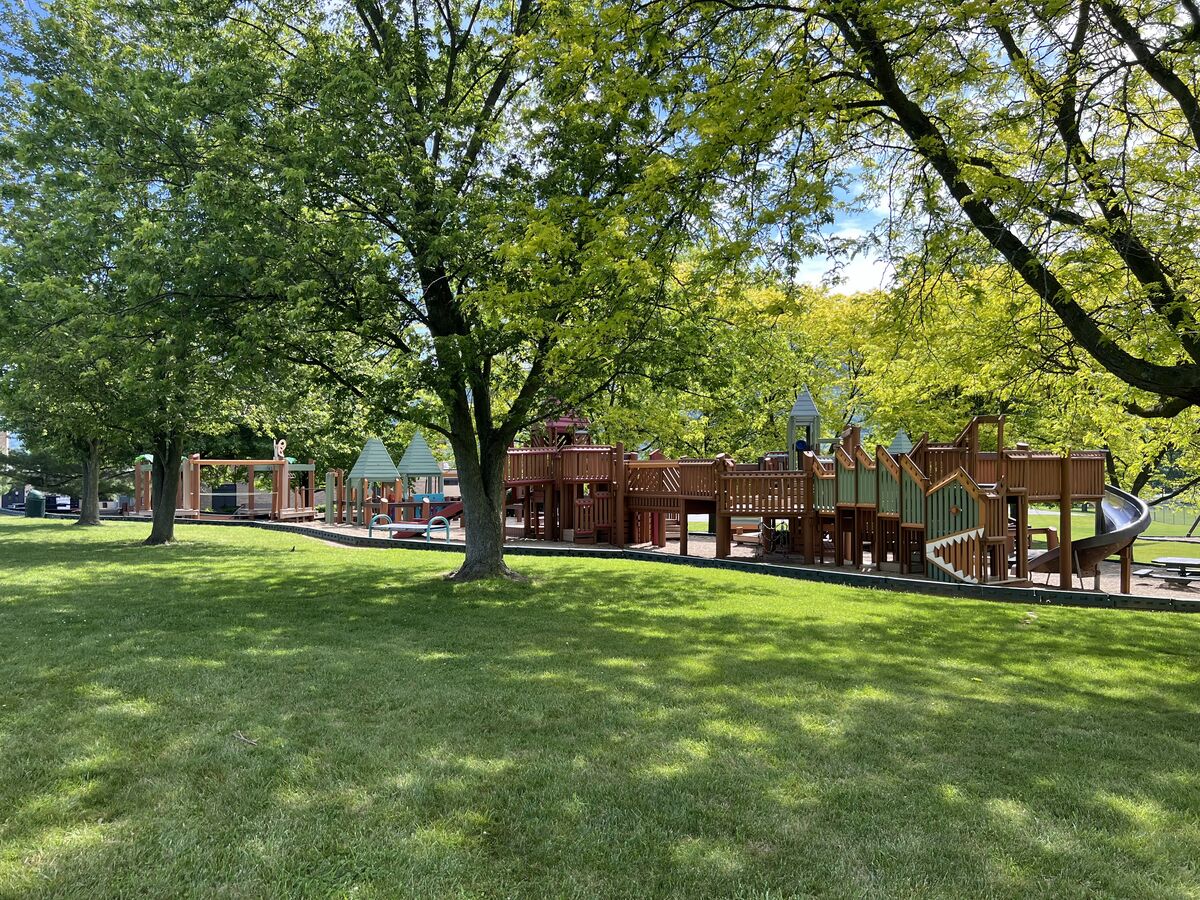 Panther Paradise Revitalized
