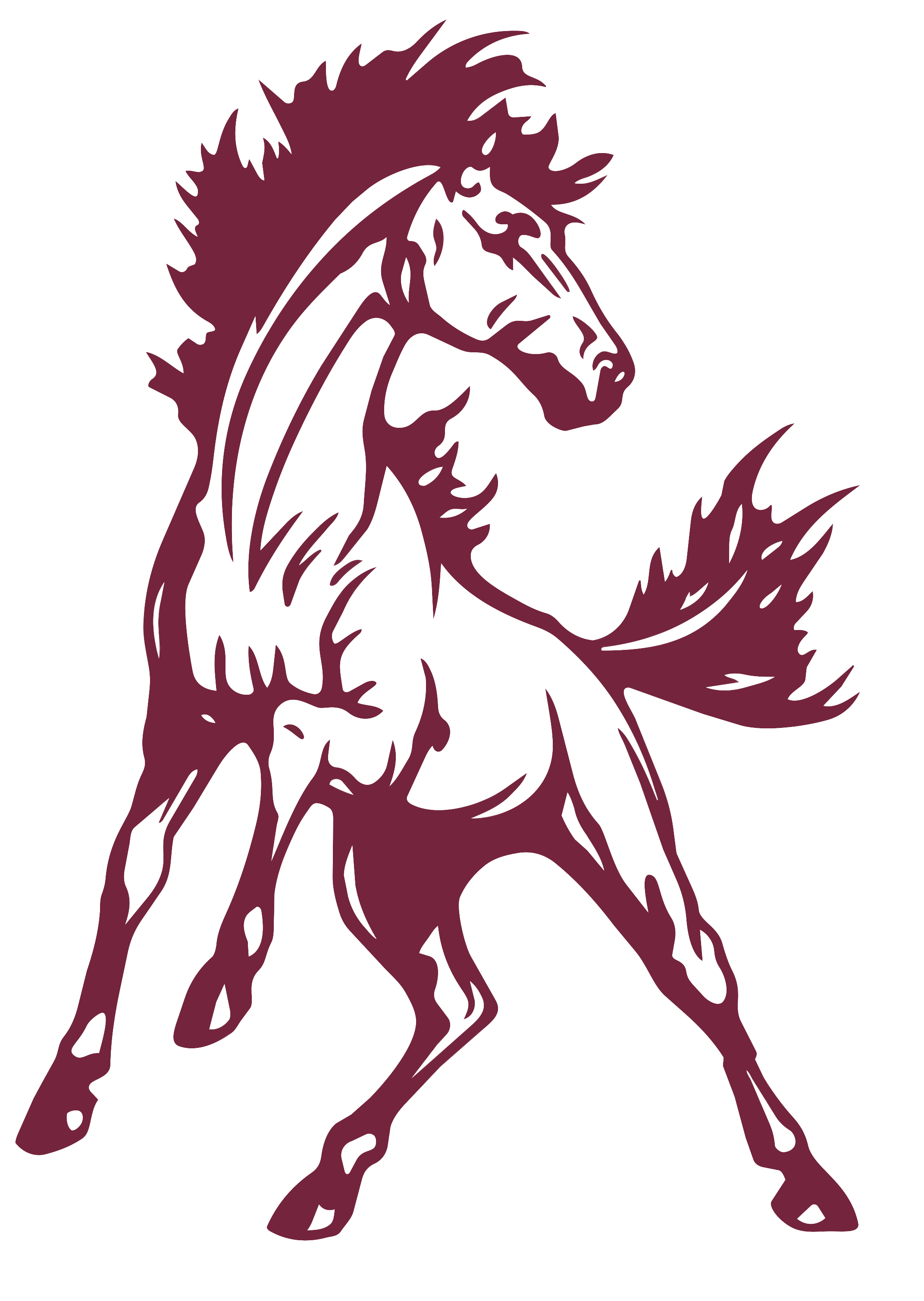 Mustang Youth Football Camp