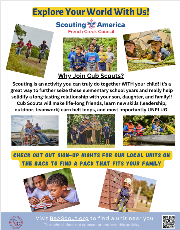 Cub Scouts