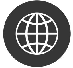A white globe icon inside a dark gray circle.