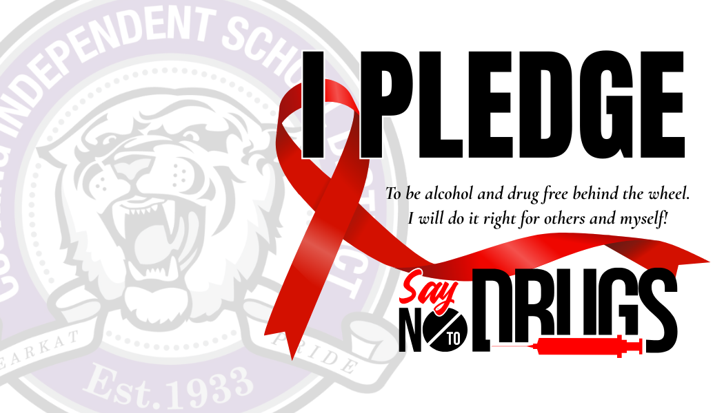 Red Ribbon Week - Student Drivers