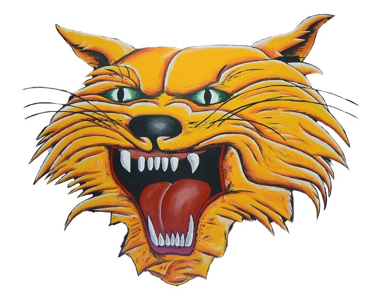 November Parent/Teacher Conference Information