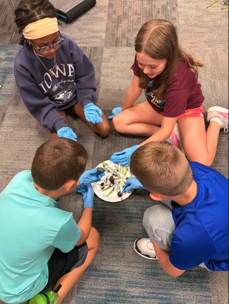 DeSoto 5th Graders Explore Food Webs Through Owl Pellet Dissection