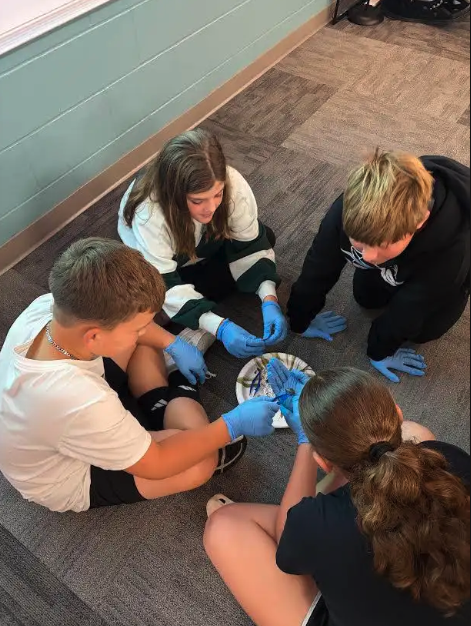 Four students sit on a carpeted floor in a circle, wearing blue gloves and working on a science project.