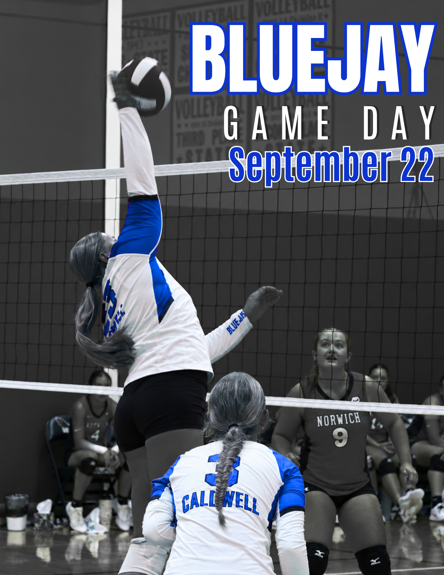 Lady Jays @ Central Burden