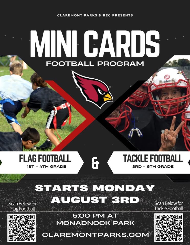 Mini Cardinals Football Programs 
