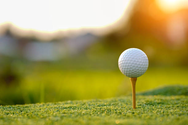 GCCS Fall Sports Update 10/2/26: Varsity Golf