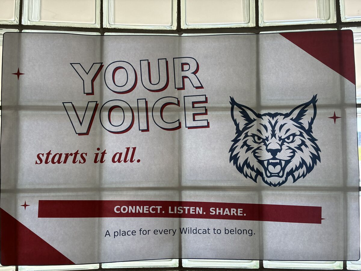 picture of voice poster