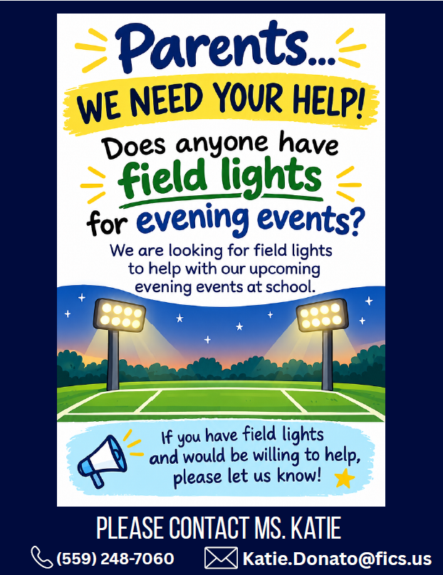 Field Lights 
