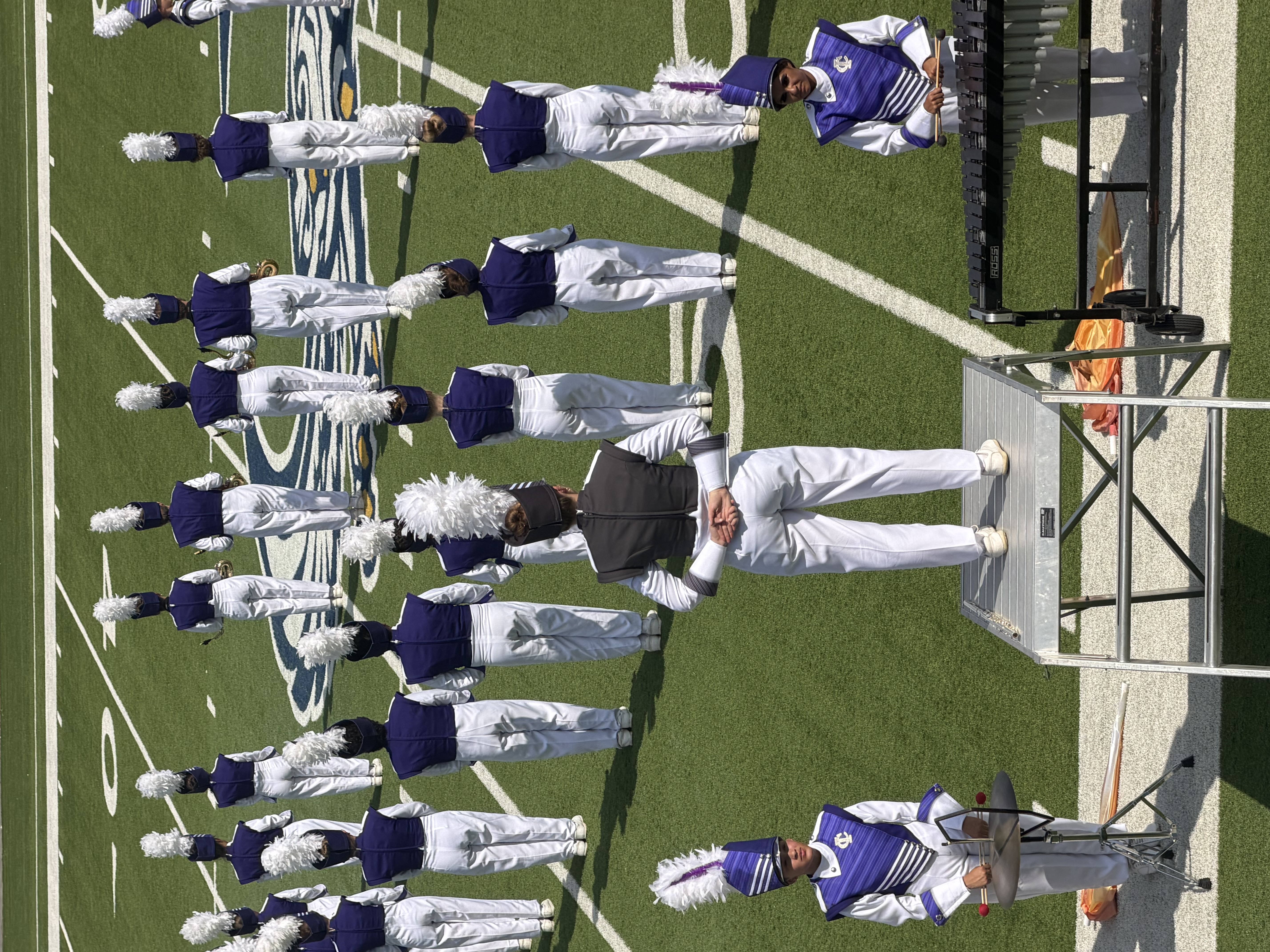 Hornet band