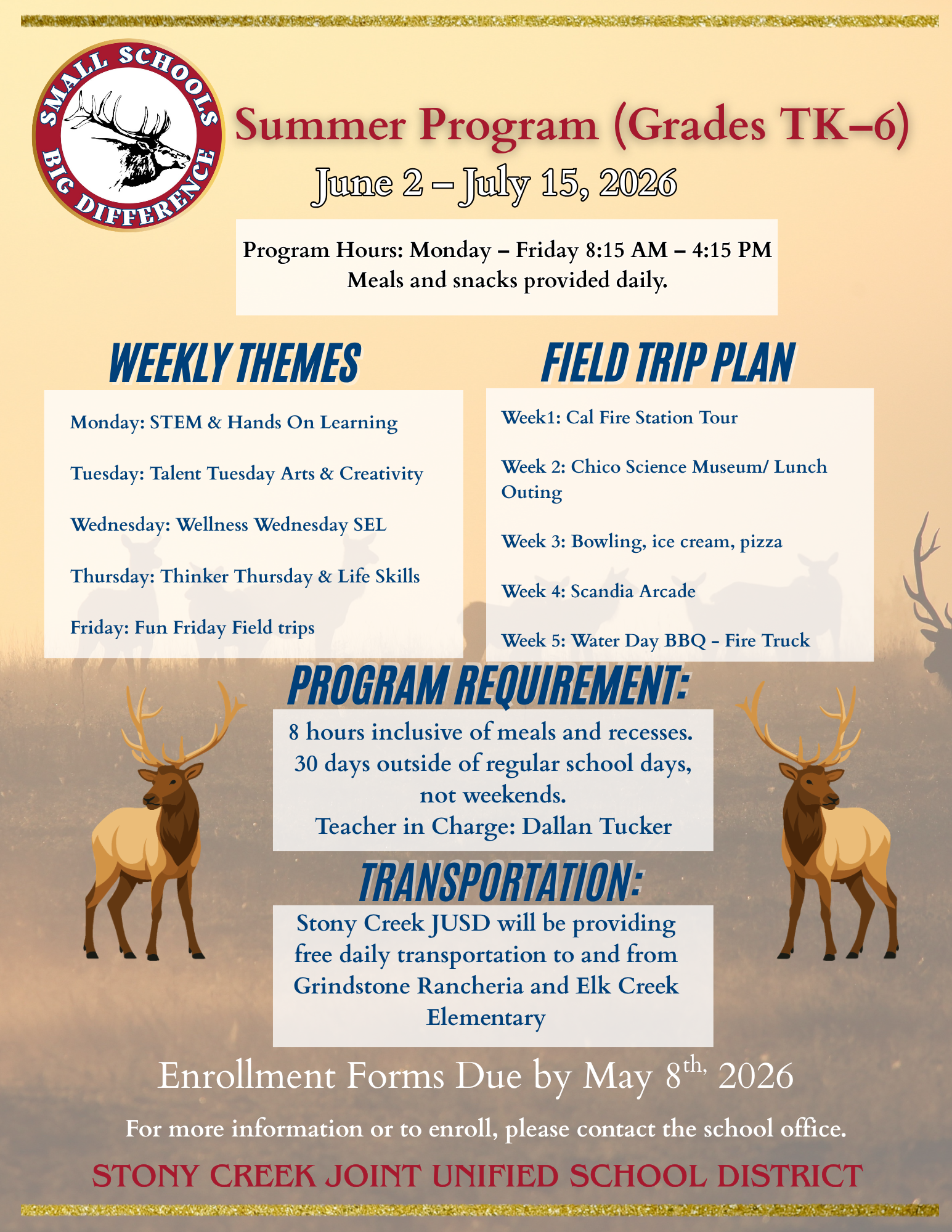 🌞 Summer Program!