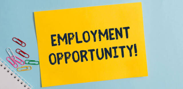 Job Opportunity at RES