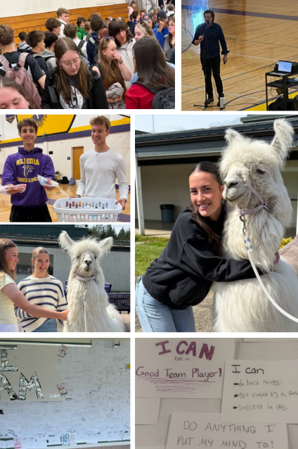 Wellness Week at Elmira High School
