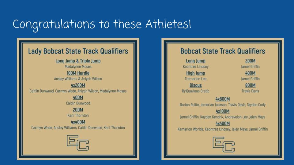 Lady Cats & Bobcats Track and Field Members Advance to State