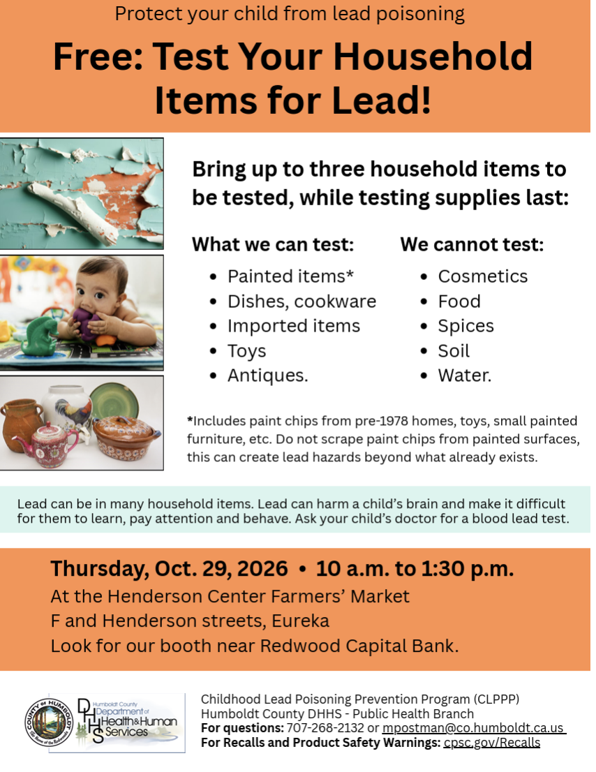 An informational flyer about a free household lead testing event, featuring details on what items can and cannot be tested.