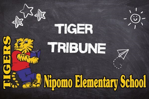 May Tiger Tribune