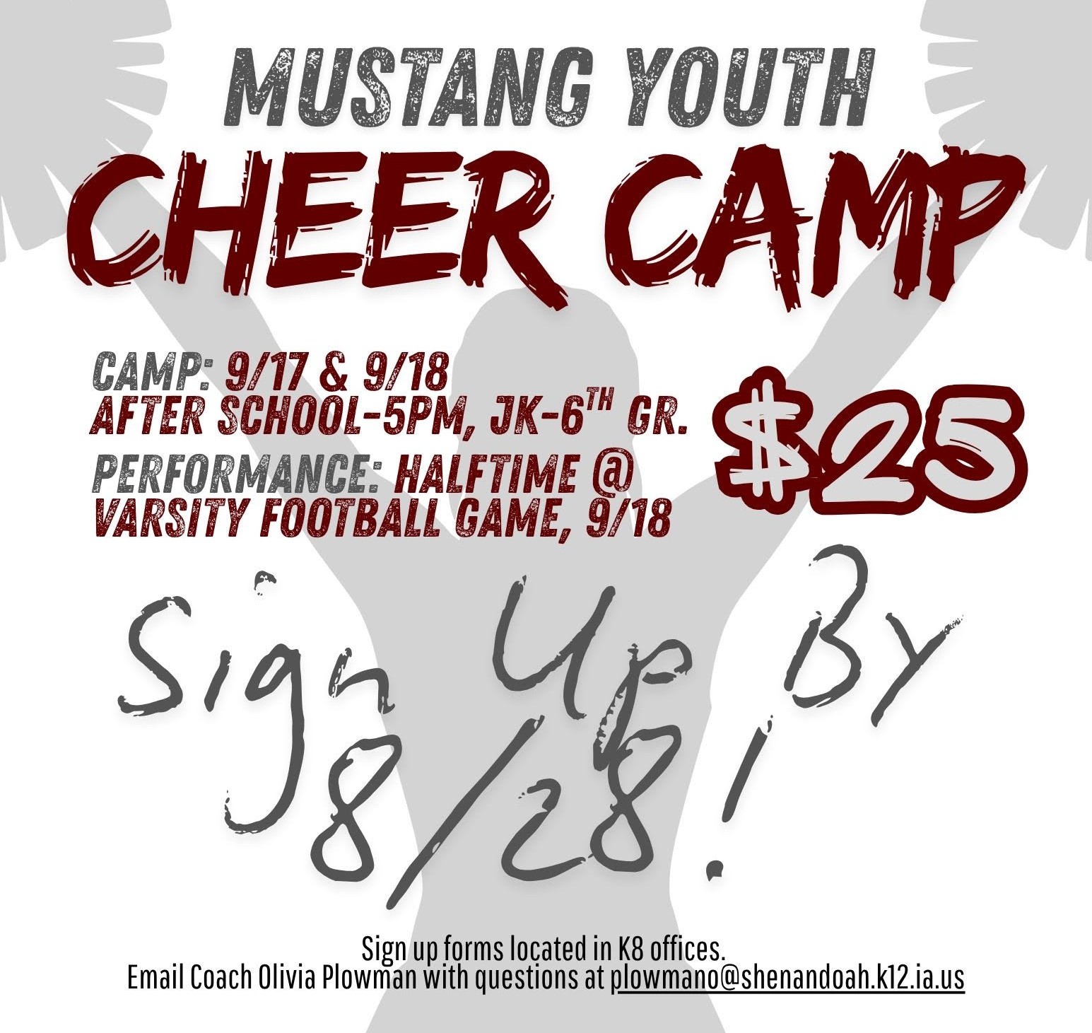 Youth Cheer Camp Information
