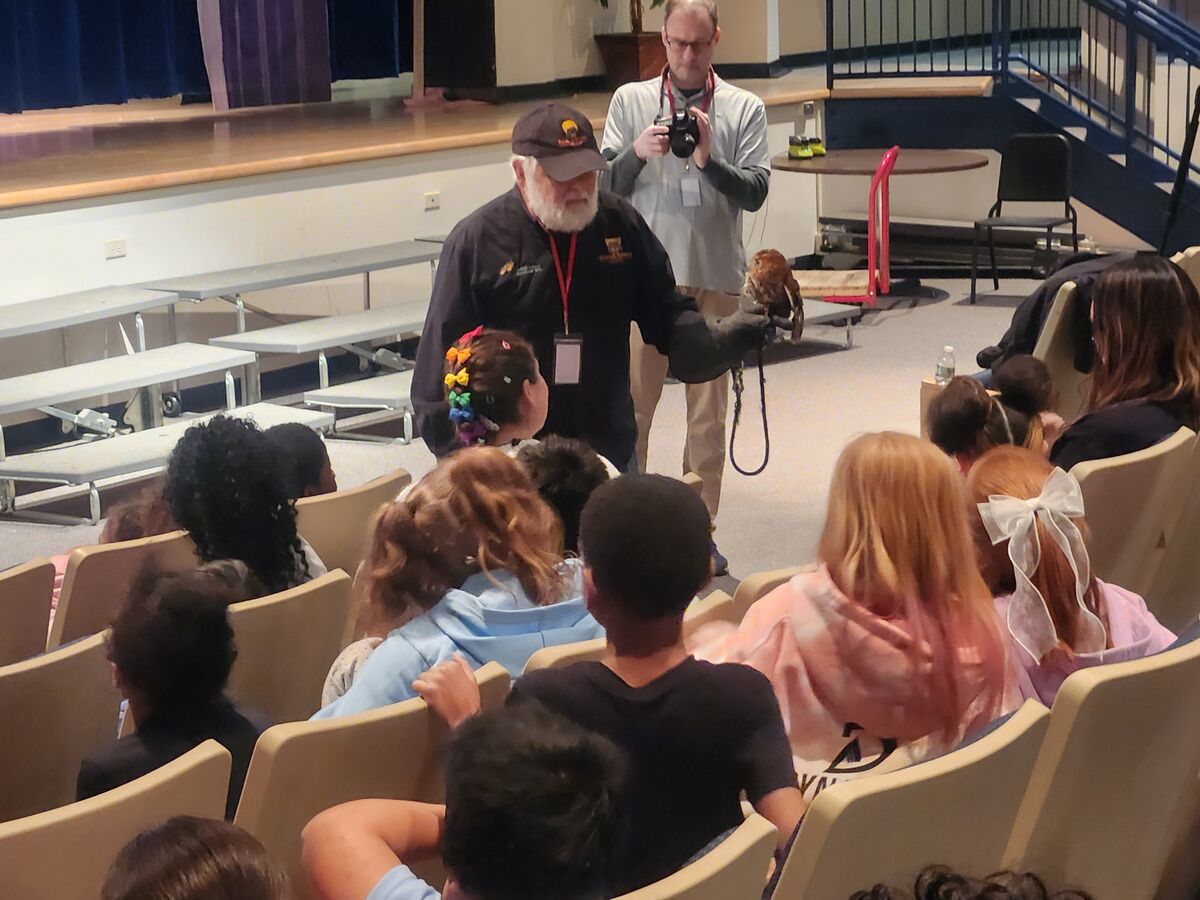 Eastern Screech Owl as part of the Van Rensselaer's 2nd Grade Birds of Prey Experience
