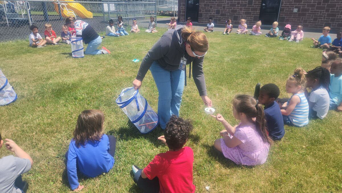 Kindergarten Classes Observe Life Cycles with Annual Butterfly Release