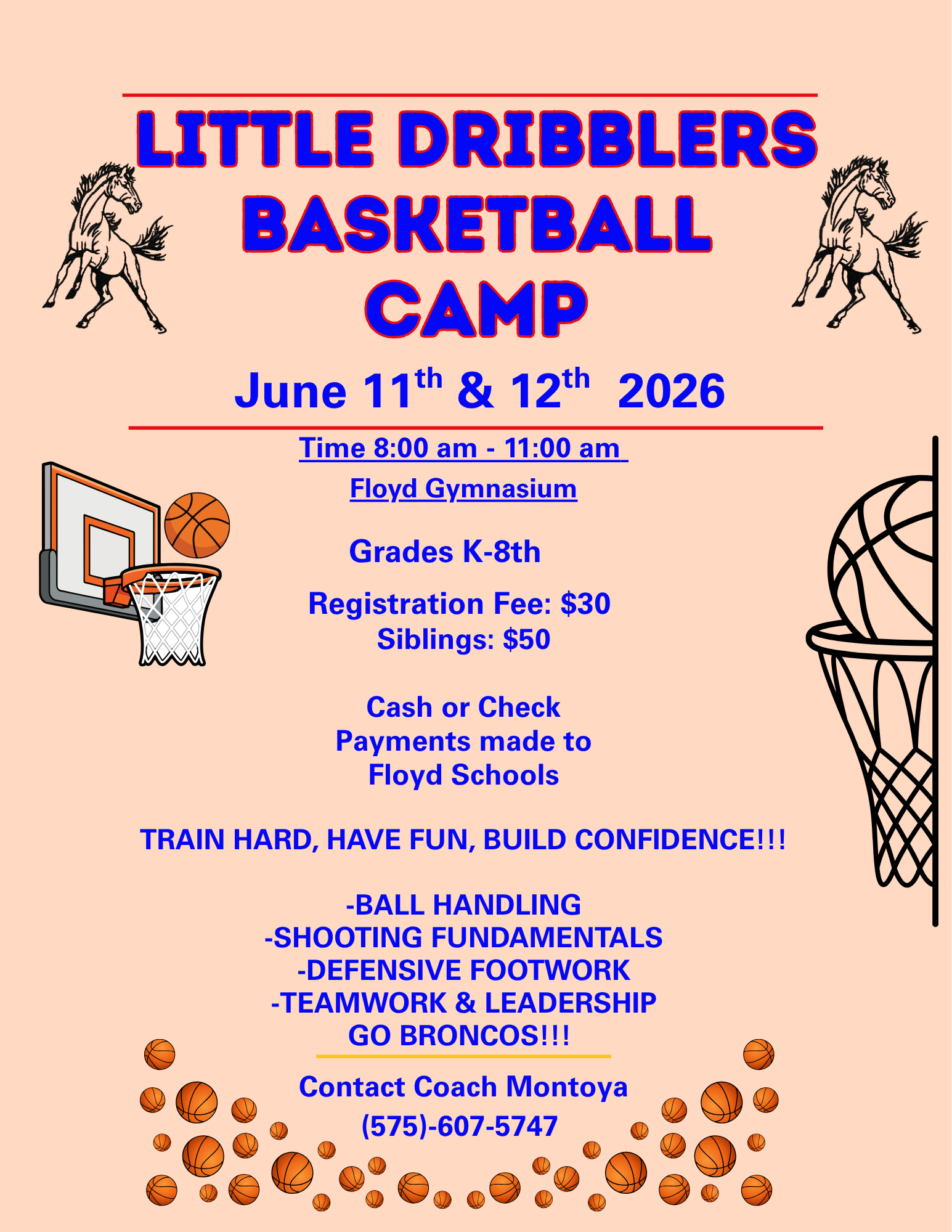 Little Dribblers Basketball Camp