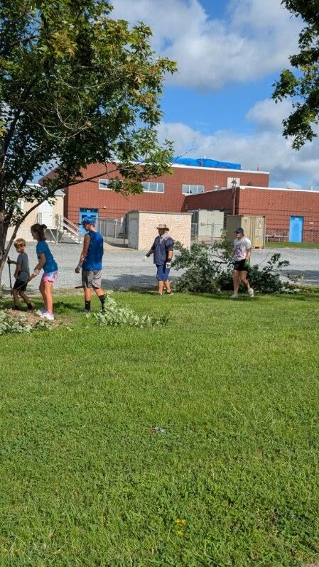 a  group of people cleaning up tree limbs