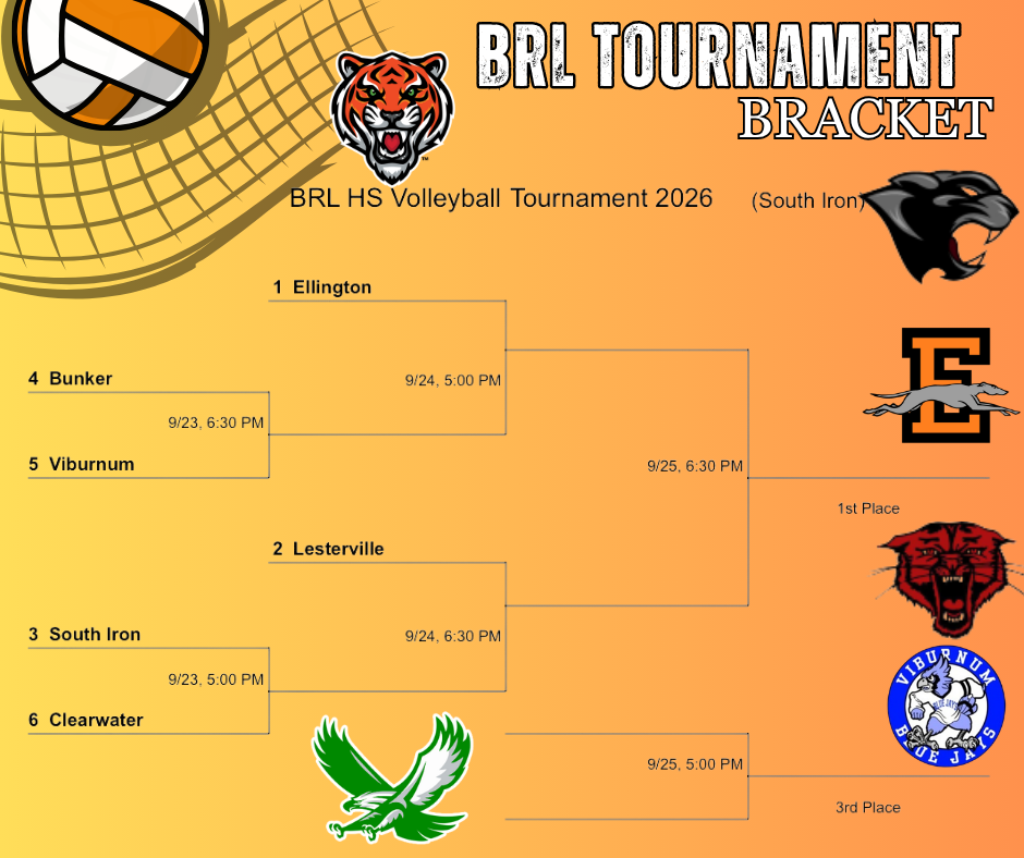 Volleyball BRL Bracket