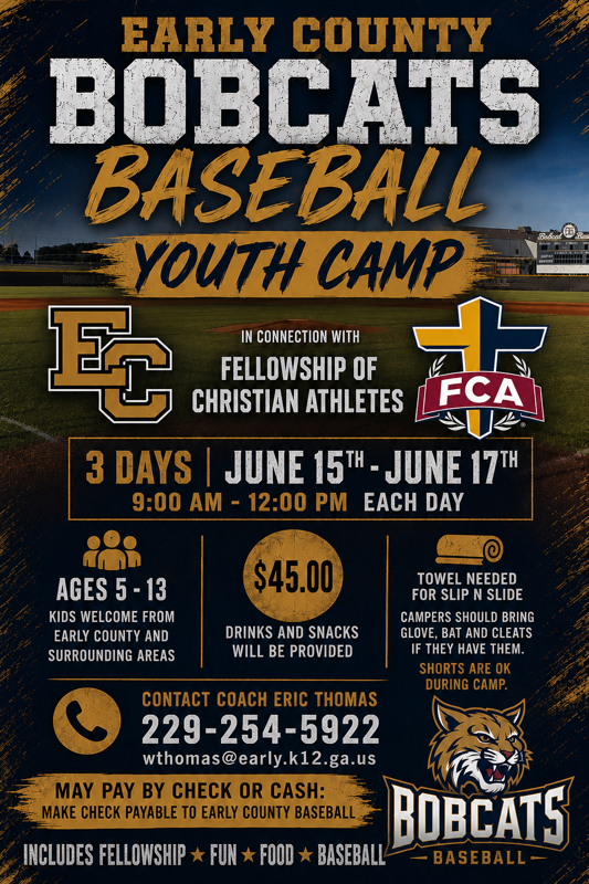 Baseball Camp Ages 5-13